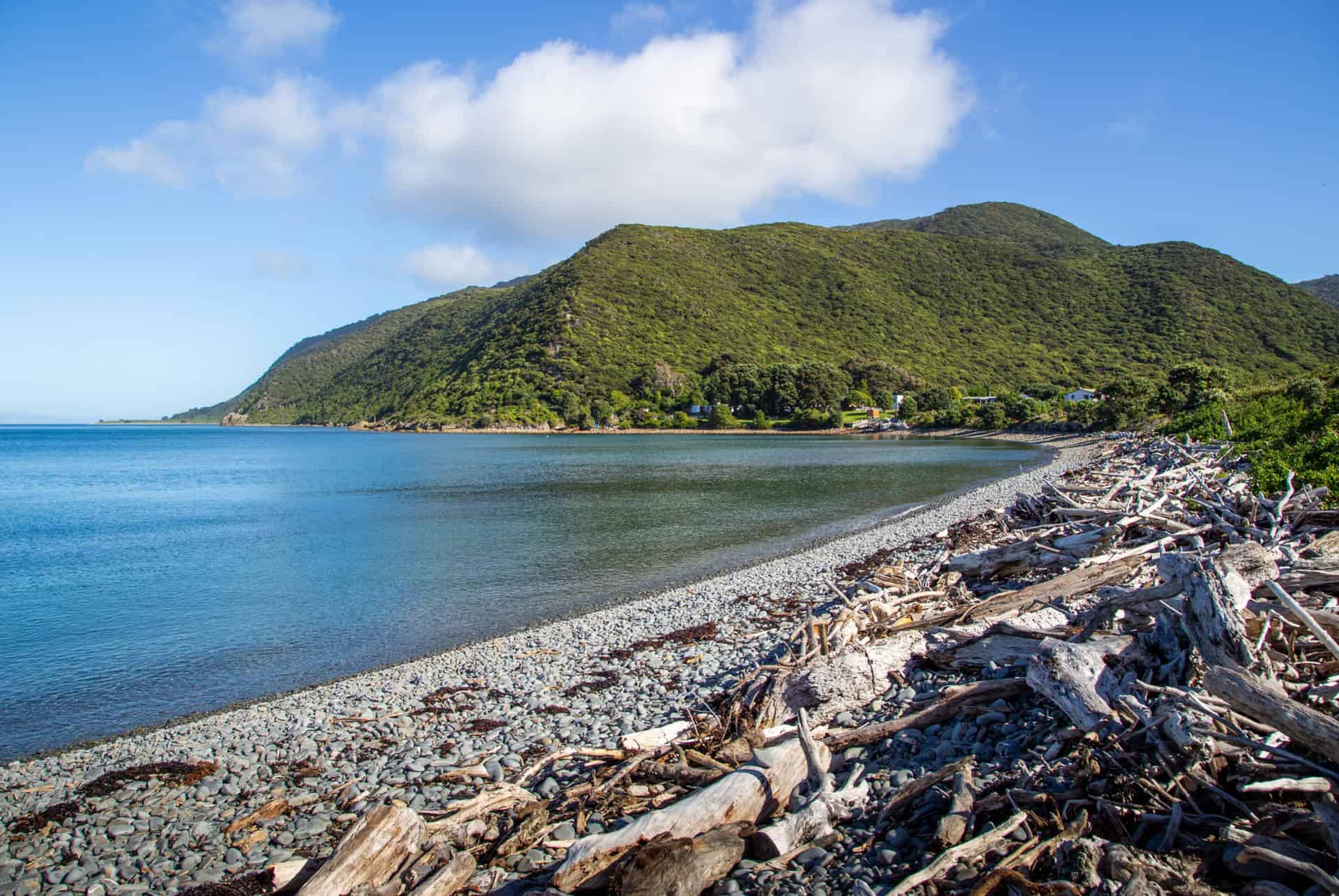 kapiti island kapiti island