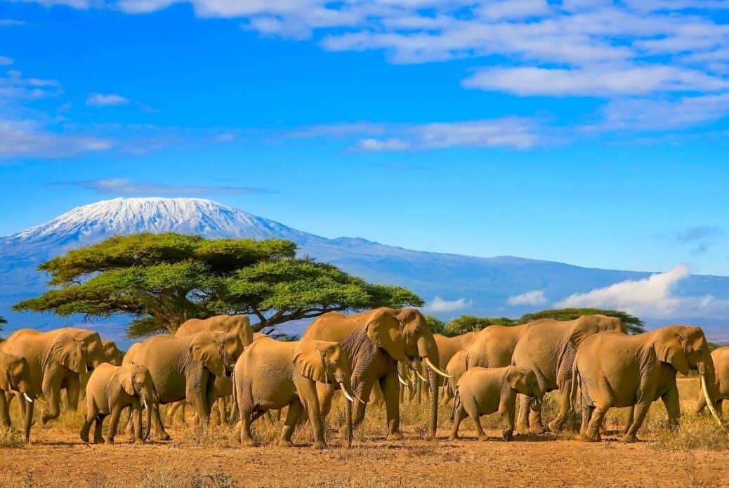 22. Kenya