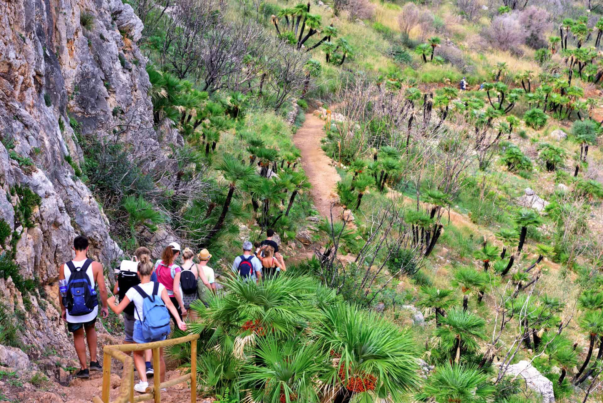 reserve de zingaro
