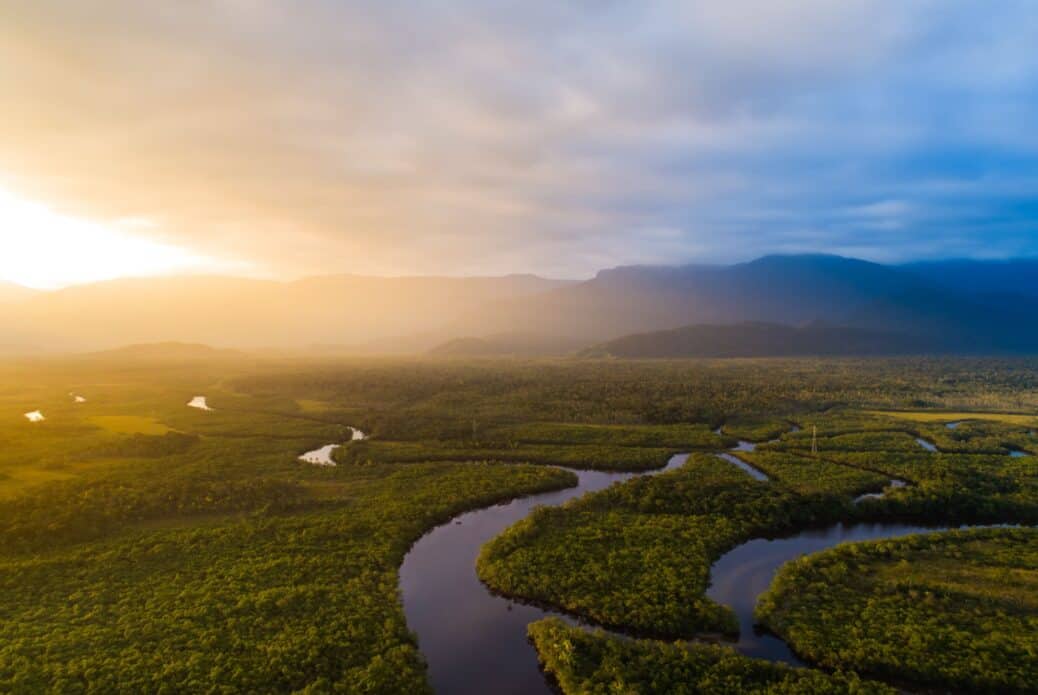 Randonnée dans la forêt amazonienne