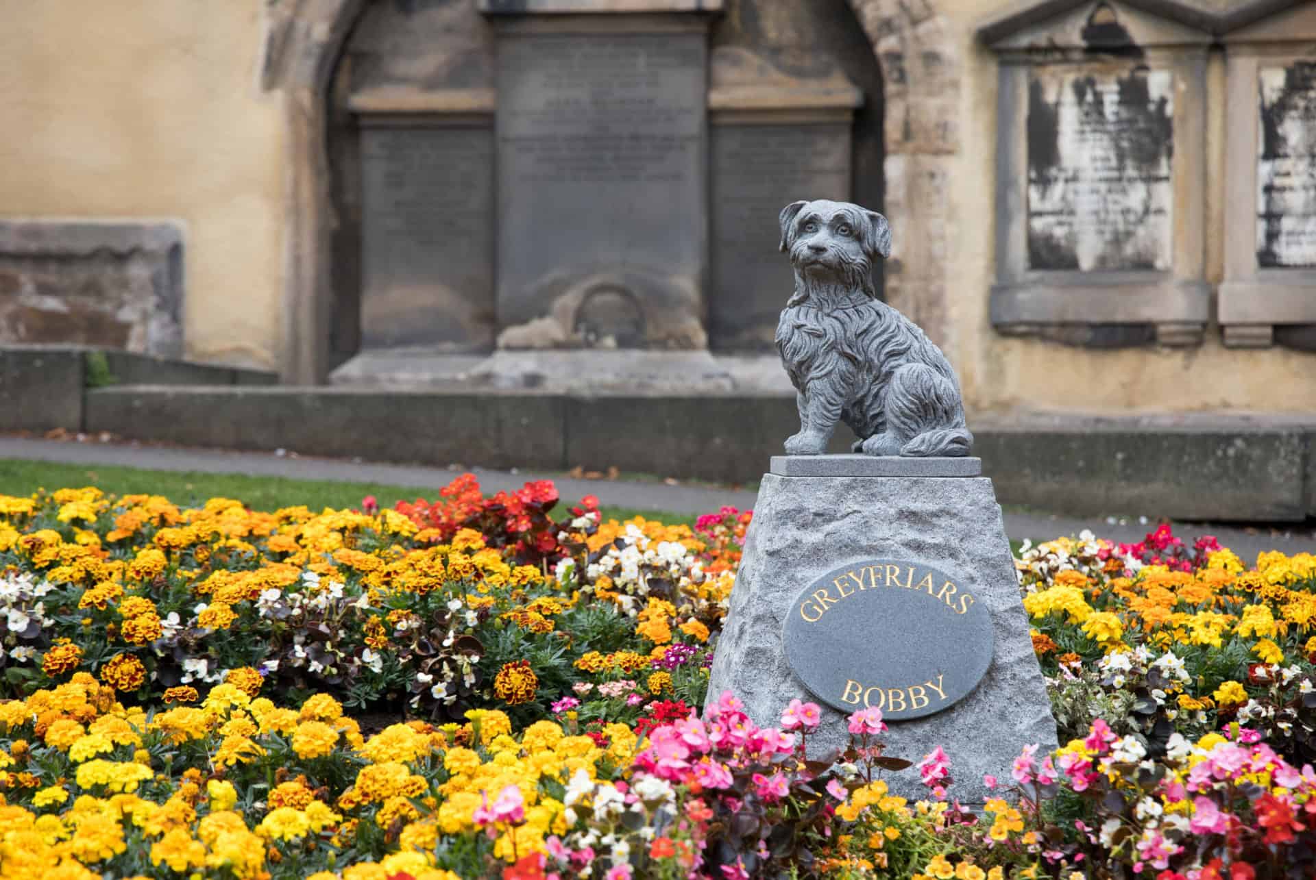 Statue de Greyfriars Bobby entourée de fleurs à Édimbourg Statue de Greyfriars Bobby entourée de fleurs à Édimbourg