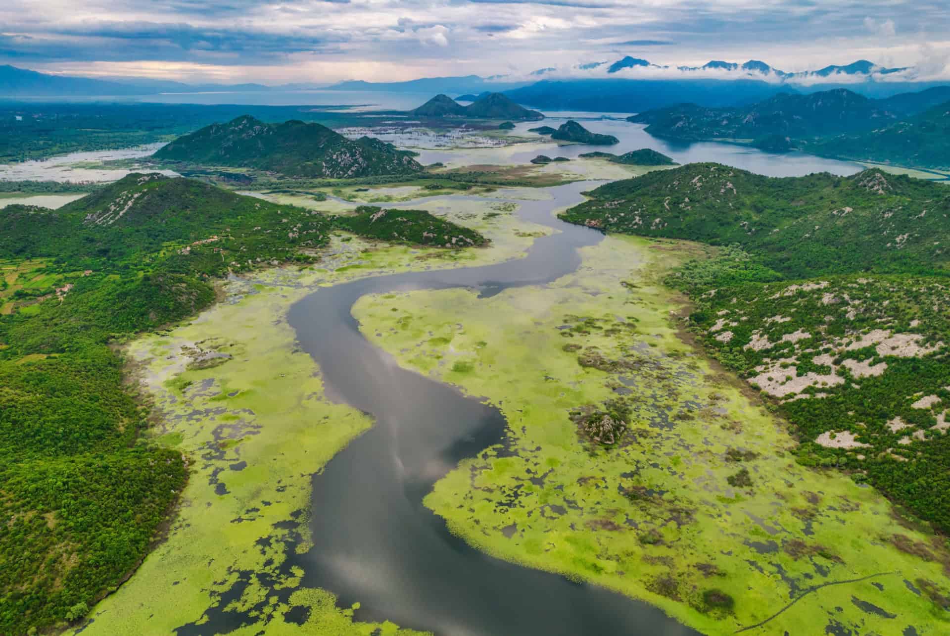 lac skadar vue aerienne lac skadar vue aerienne