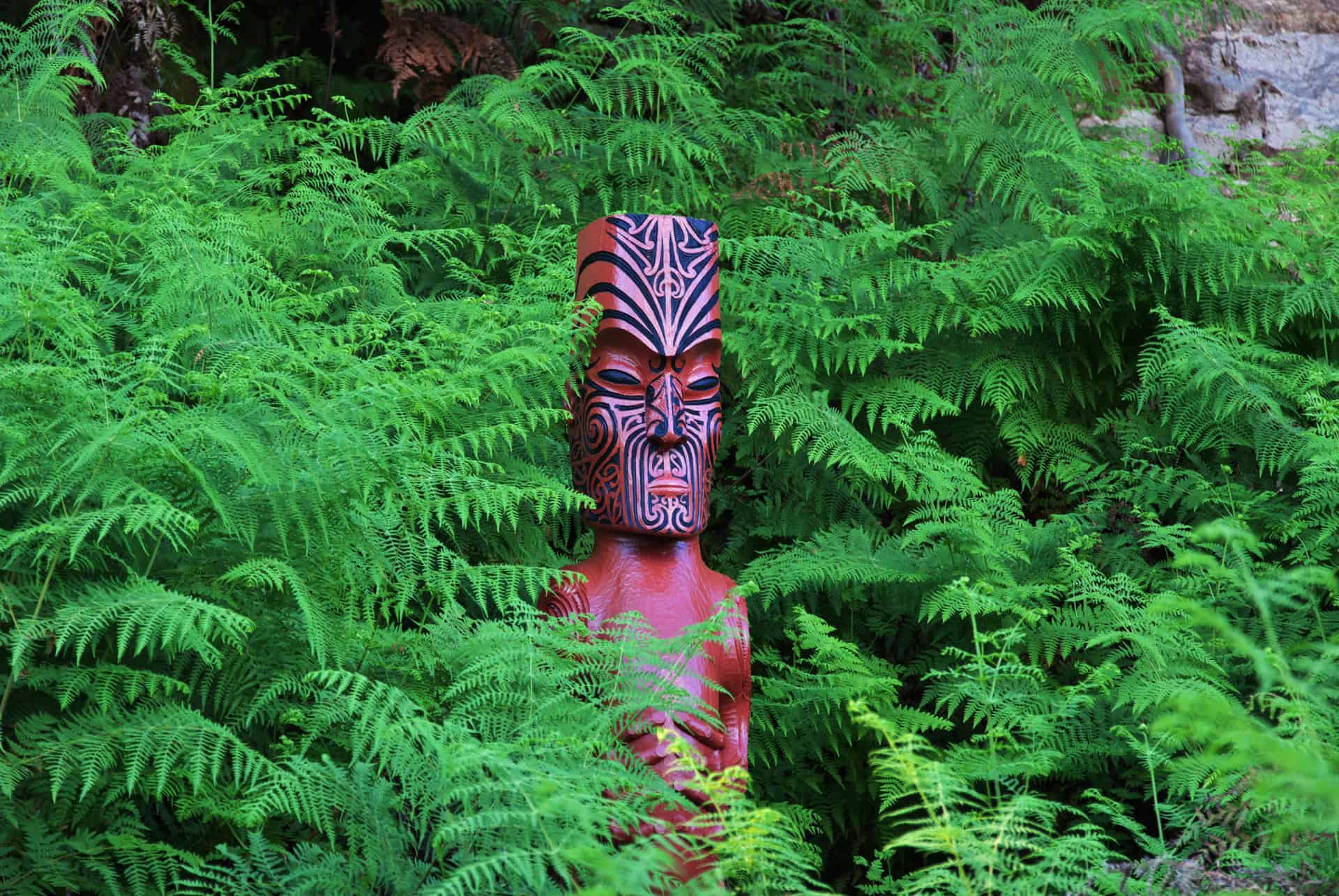 parc geothermal rotorua parc geothermal rotorua