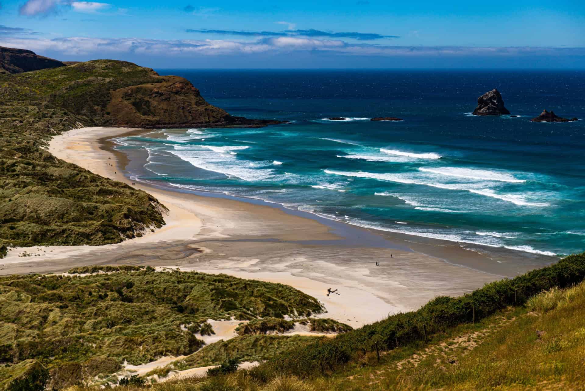 sandfly bay que faire nouvelle zelande sandfly bay que faire nouvelle zelande
