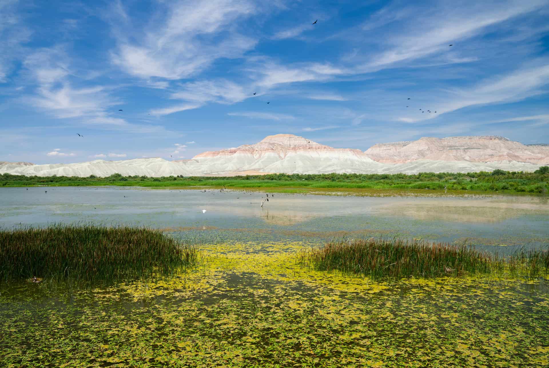que faire en turquie paradis des oiseaux que faire en turquie paradis des oiseaux