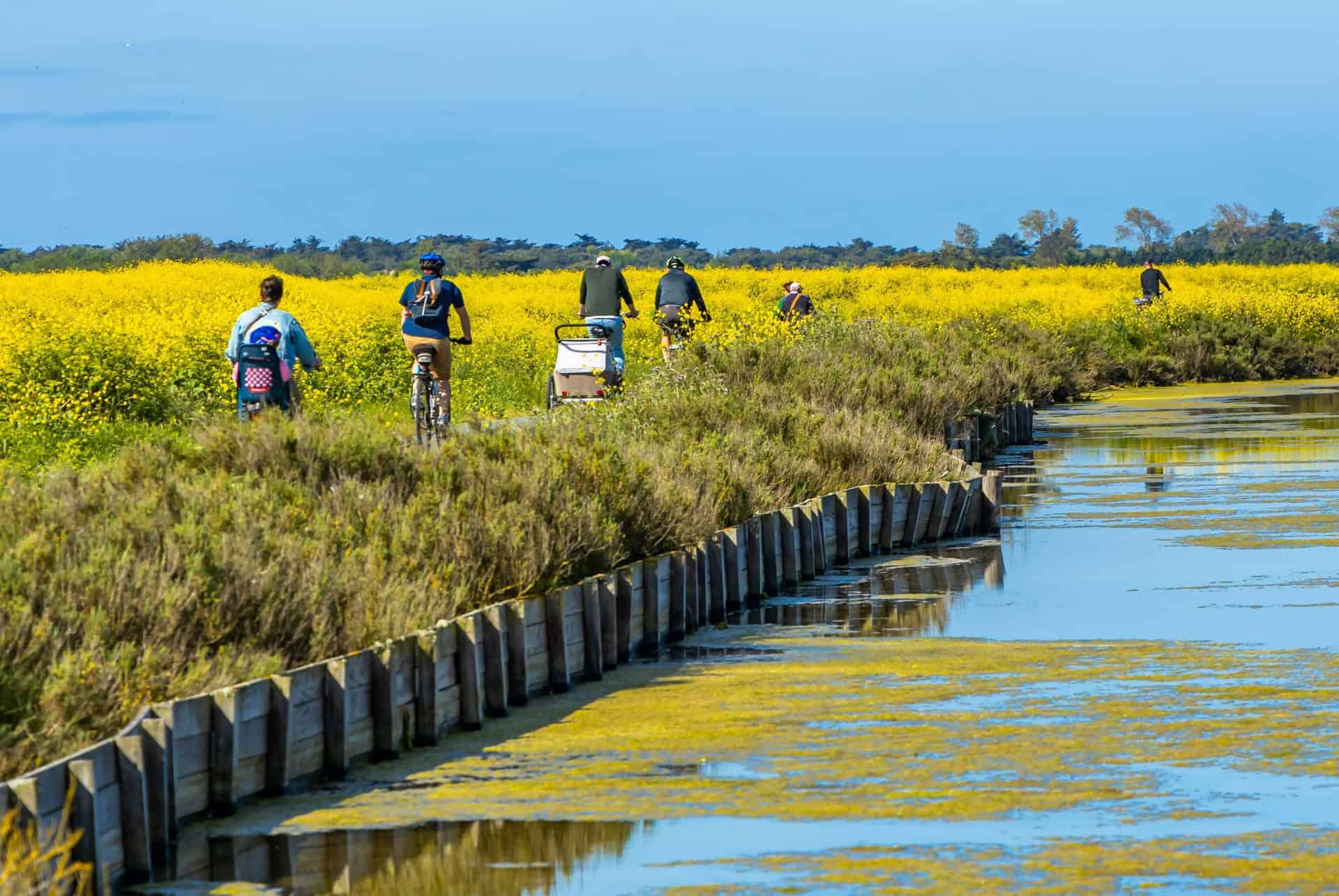 velo marais salants ile de re velo marais salants ile de re