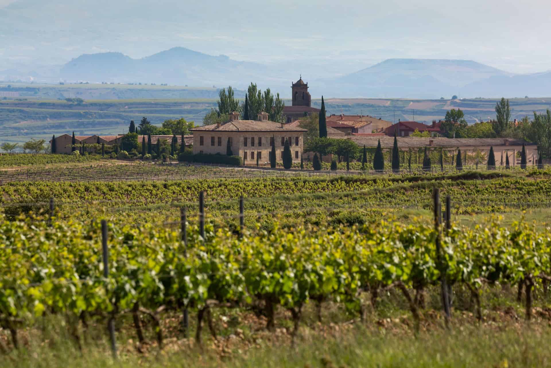 vignoble rioja vignoble rioja
