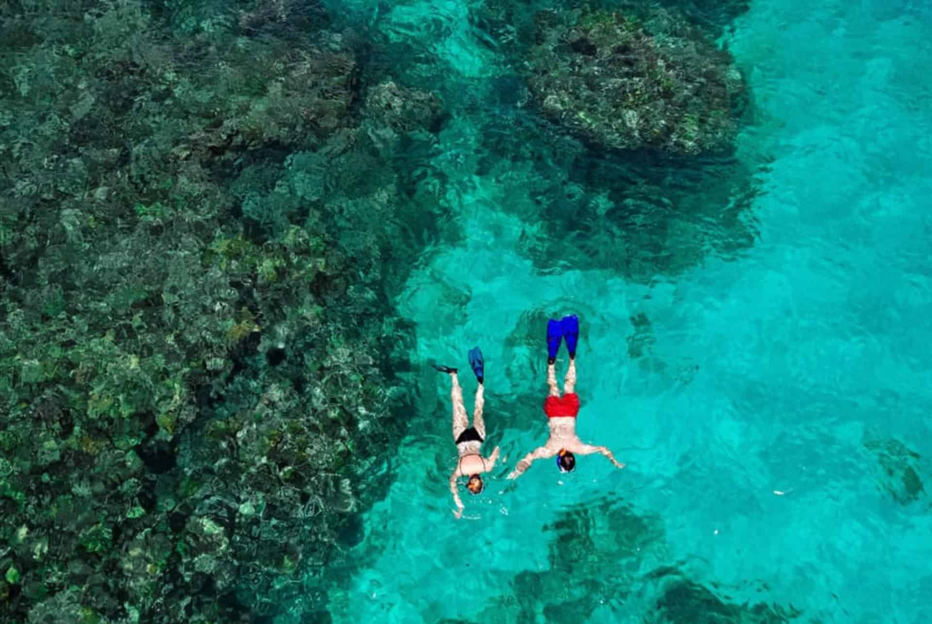 Seychelles snorkeling Seychelles snorkeling