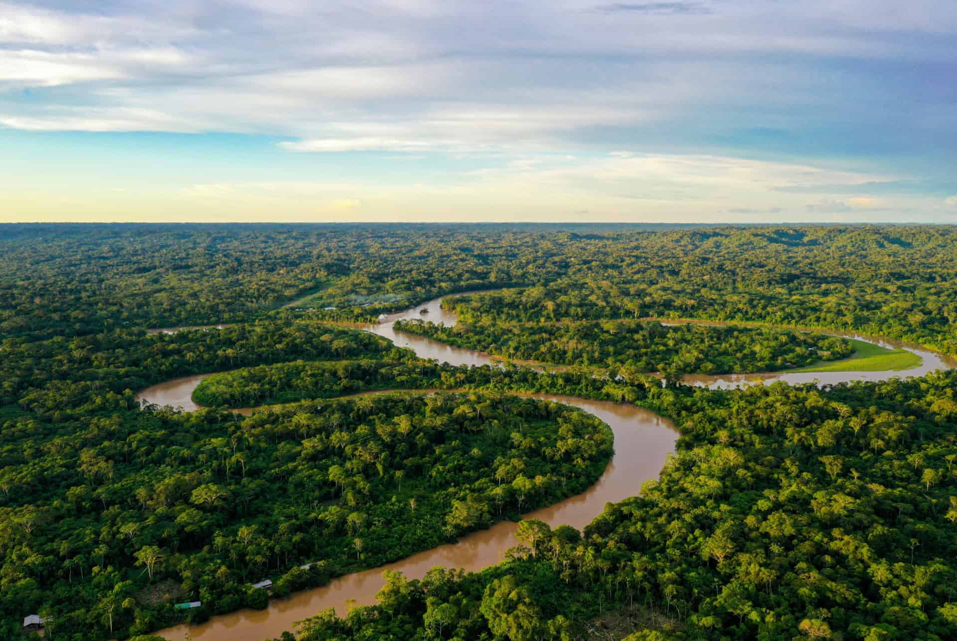 amazonie fôret bresil amazonie fôret bresil