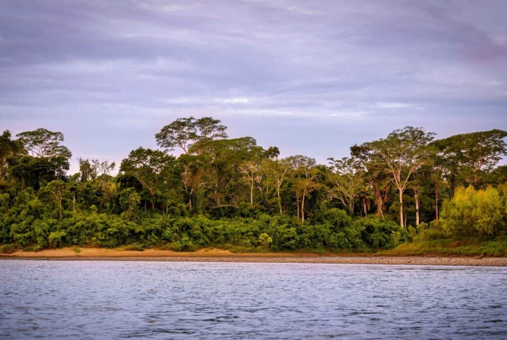 Excursion d'une journée sur le fleuve Amazone