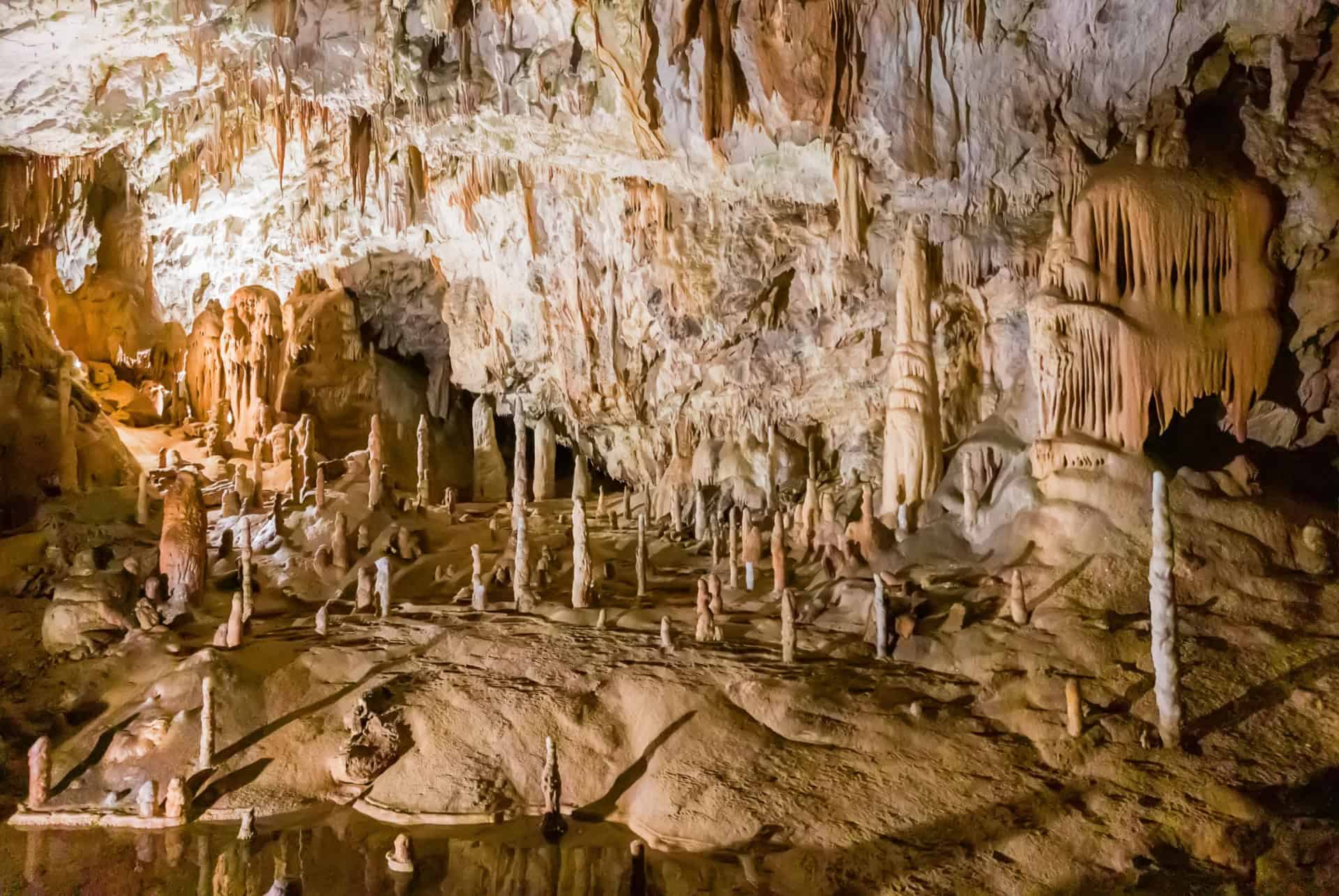 grotte de postojna grotte de postojna