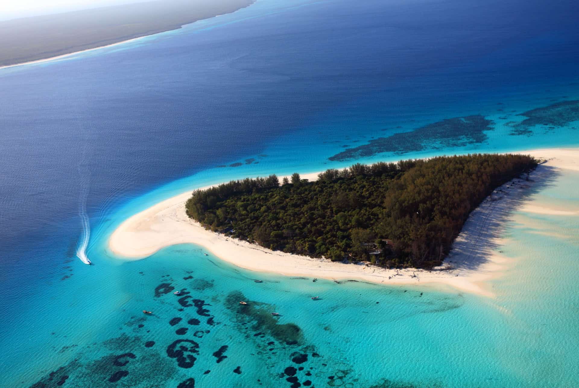 ile de mnemba zanzibar ile de mnemba zanzibar