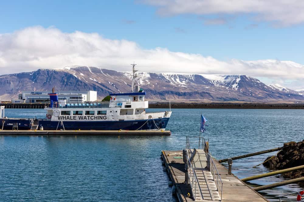 Croisière d'observation en bateau