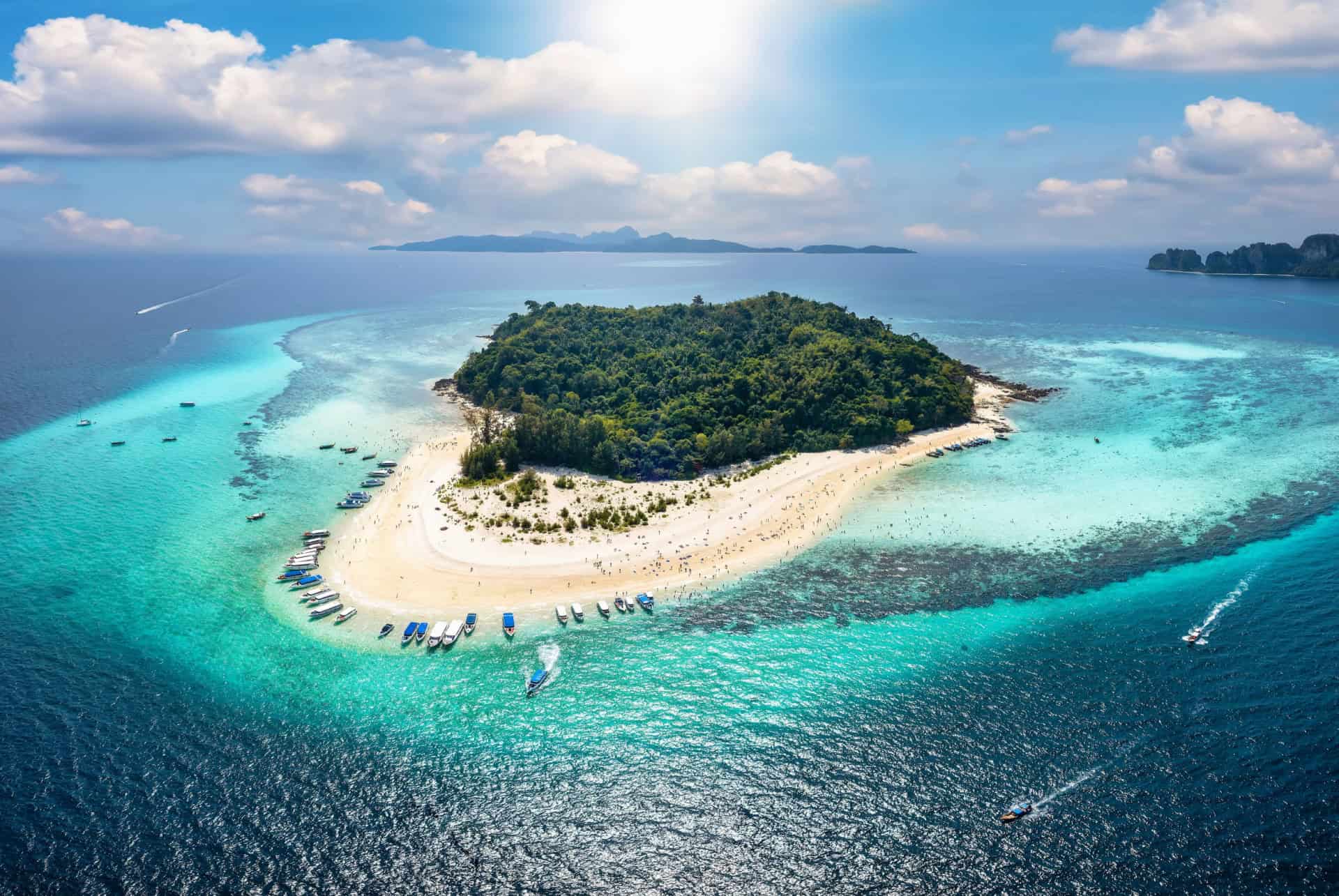 bamboo island bamboo island