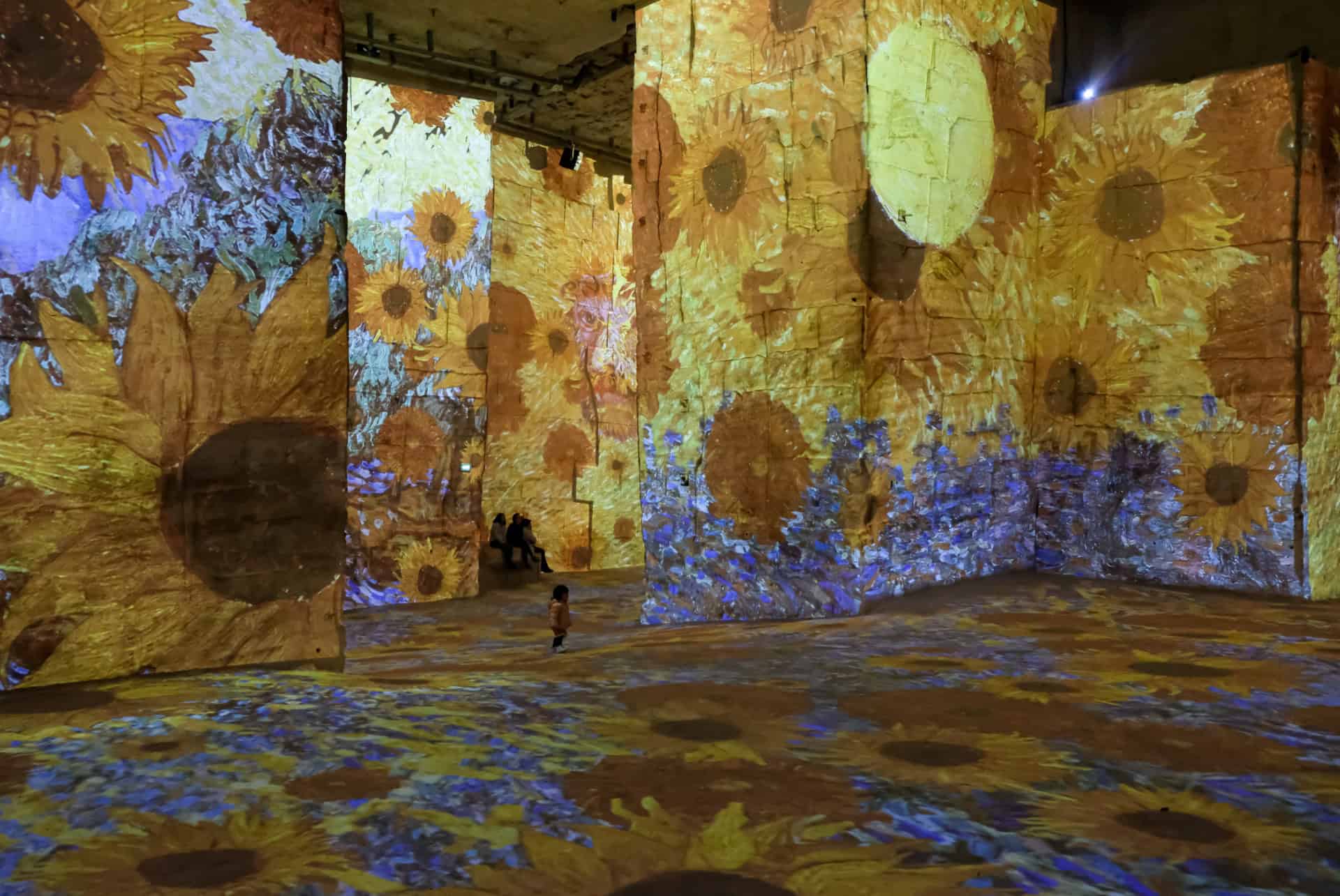 carriere des lumieres carriere des lumieres