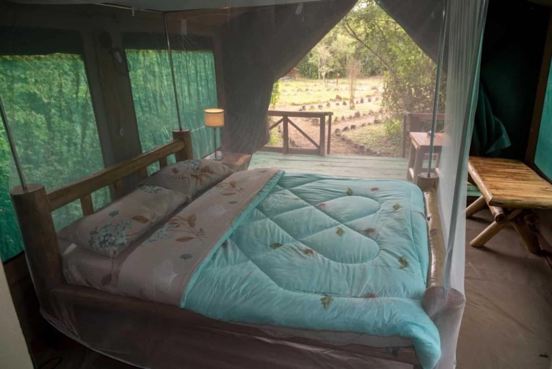 greenwood safari camp greenwood safari camp