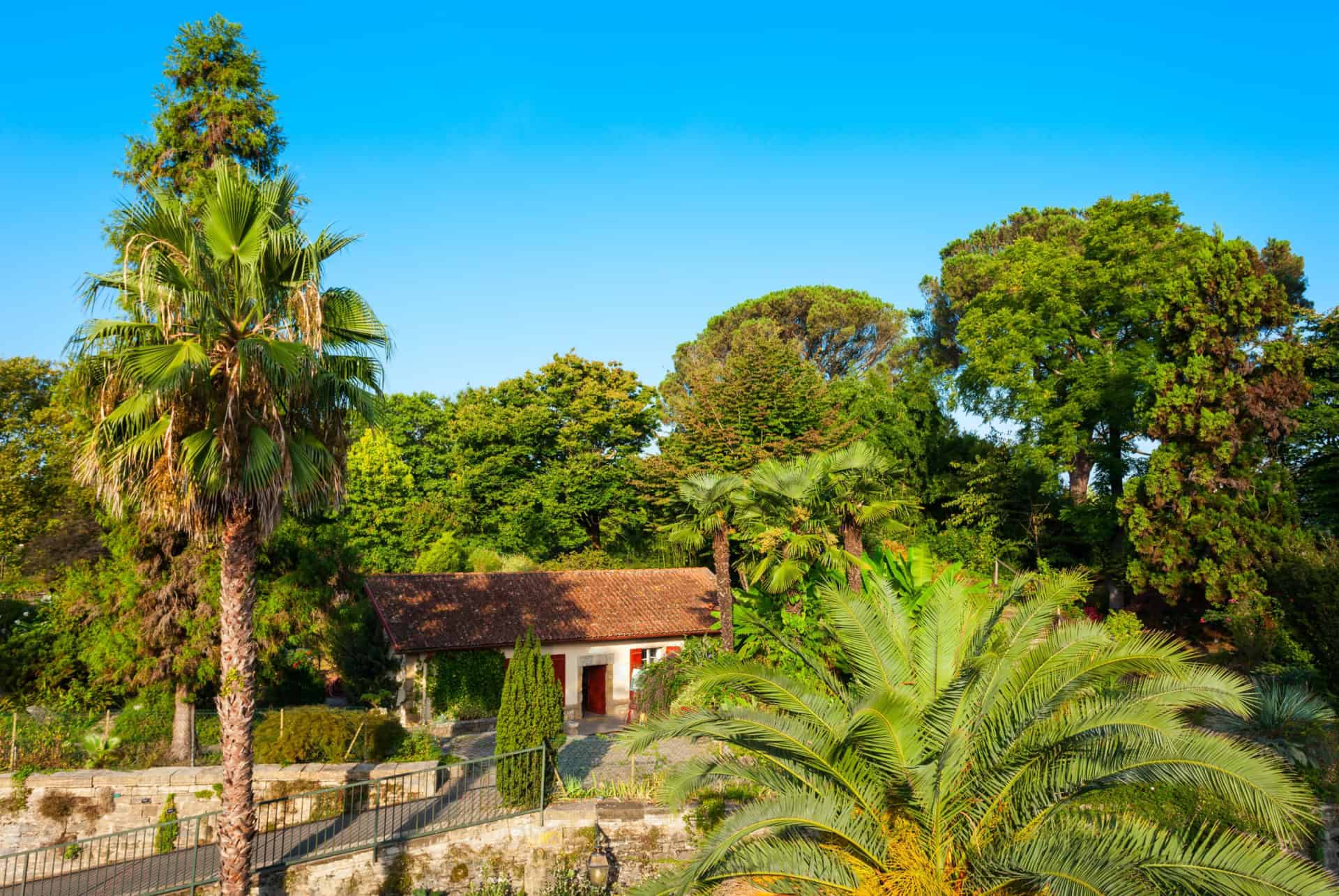 jardin botanique bayonne jardin botanique bayonne