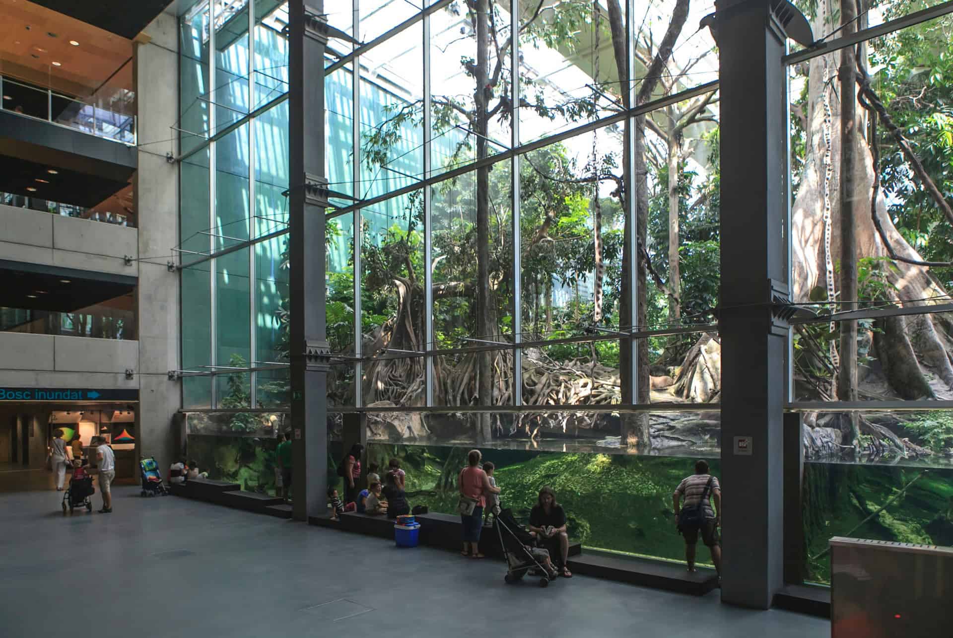musees de barcelone cosmocaixa cosmocaixa