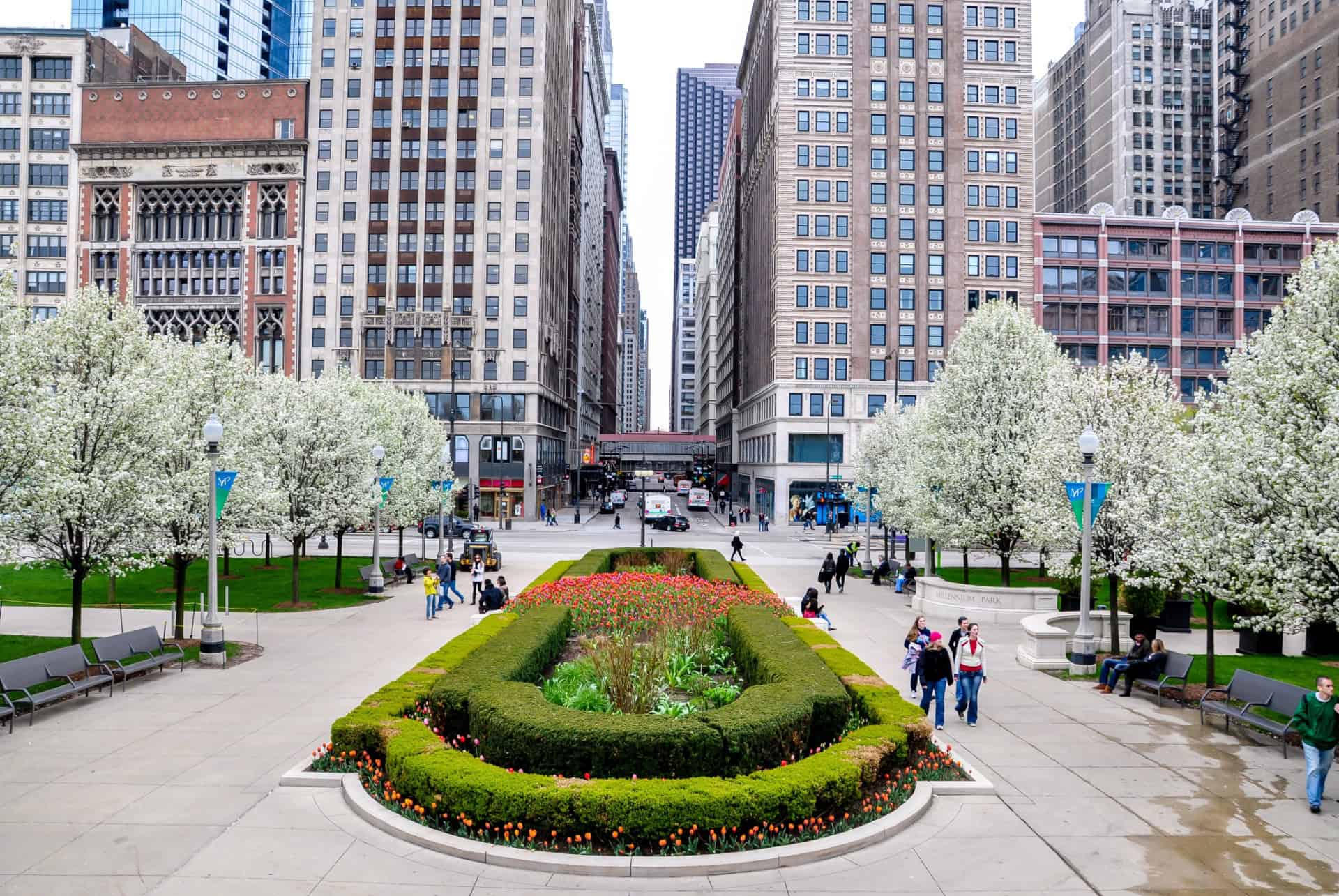 printemps illinois printemps illinois