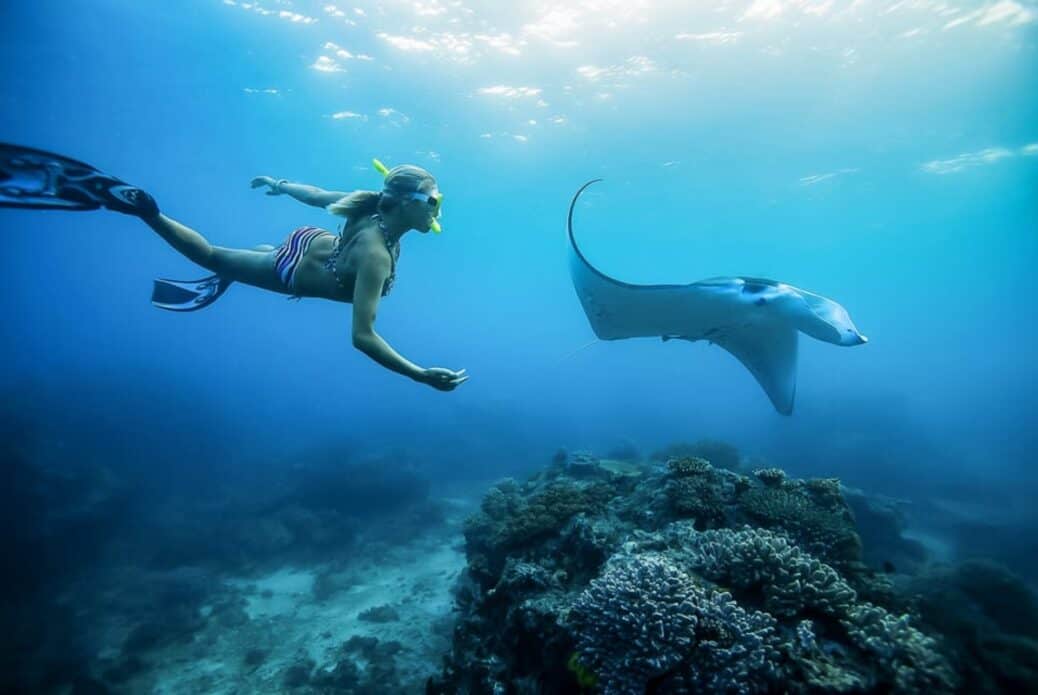 Plongée avec masque et tuba à Manta Point