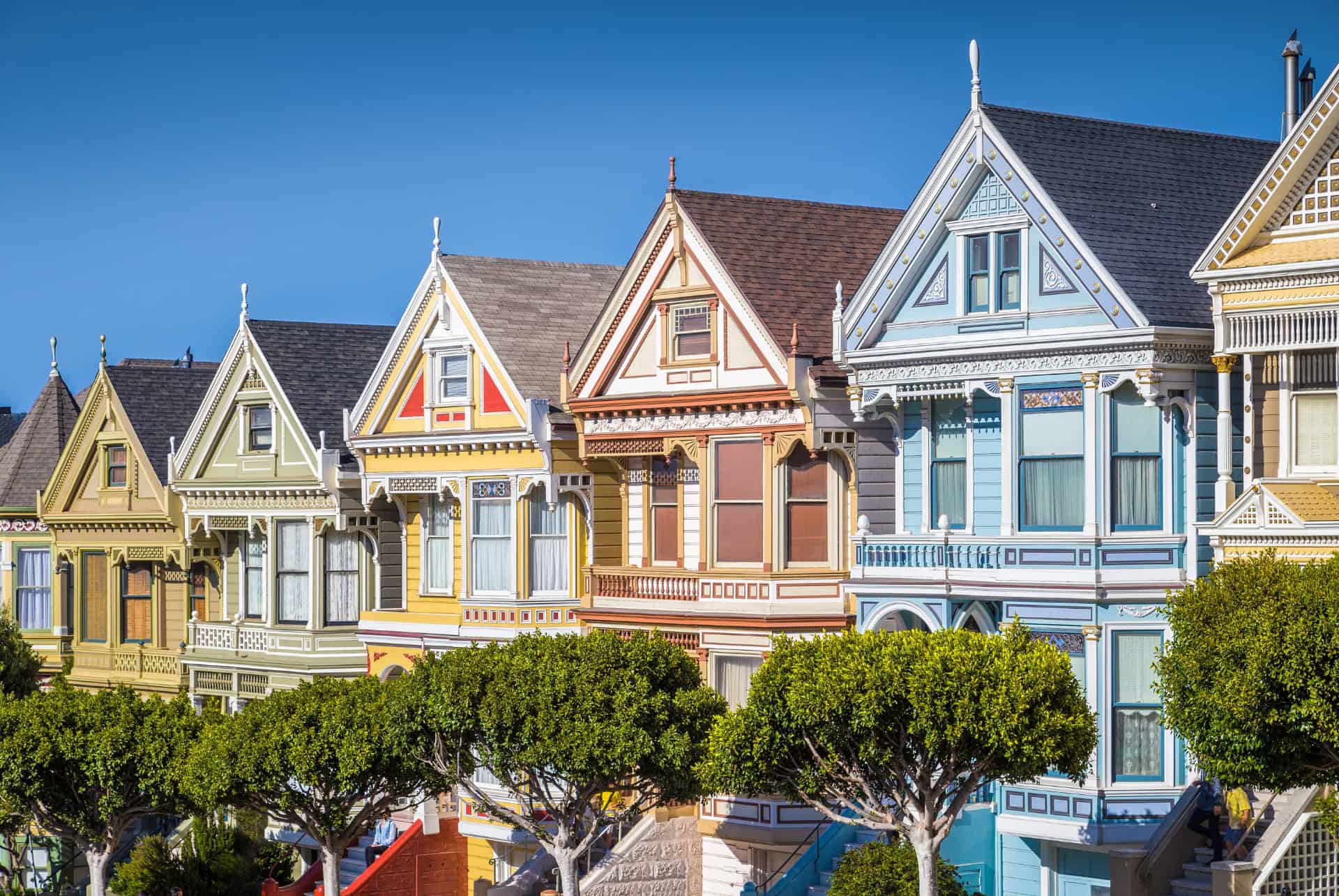 painted ladies painted ladies