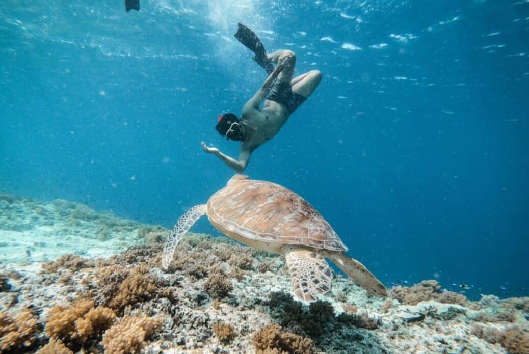 Plongée en apnée sur la plage du Lagon Bleu avec déjeuner