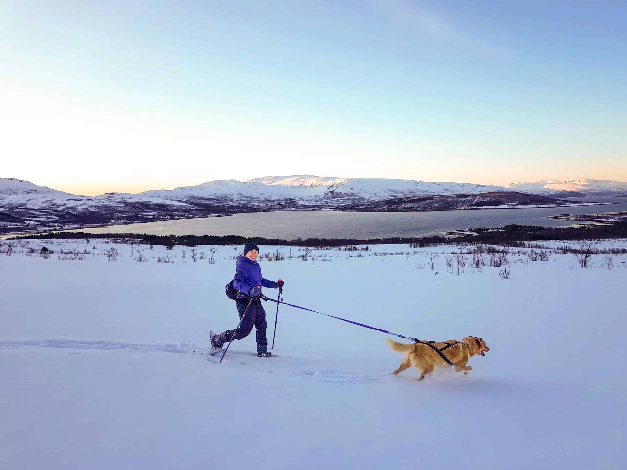 randonnee en raquettes tromso randonnee en raquettes tromso