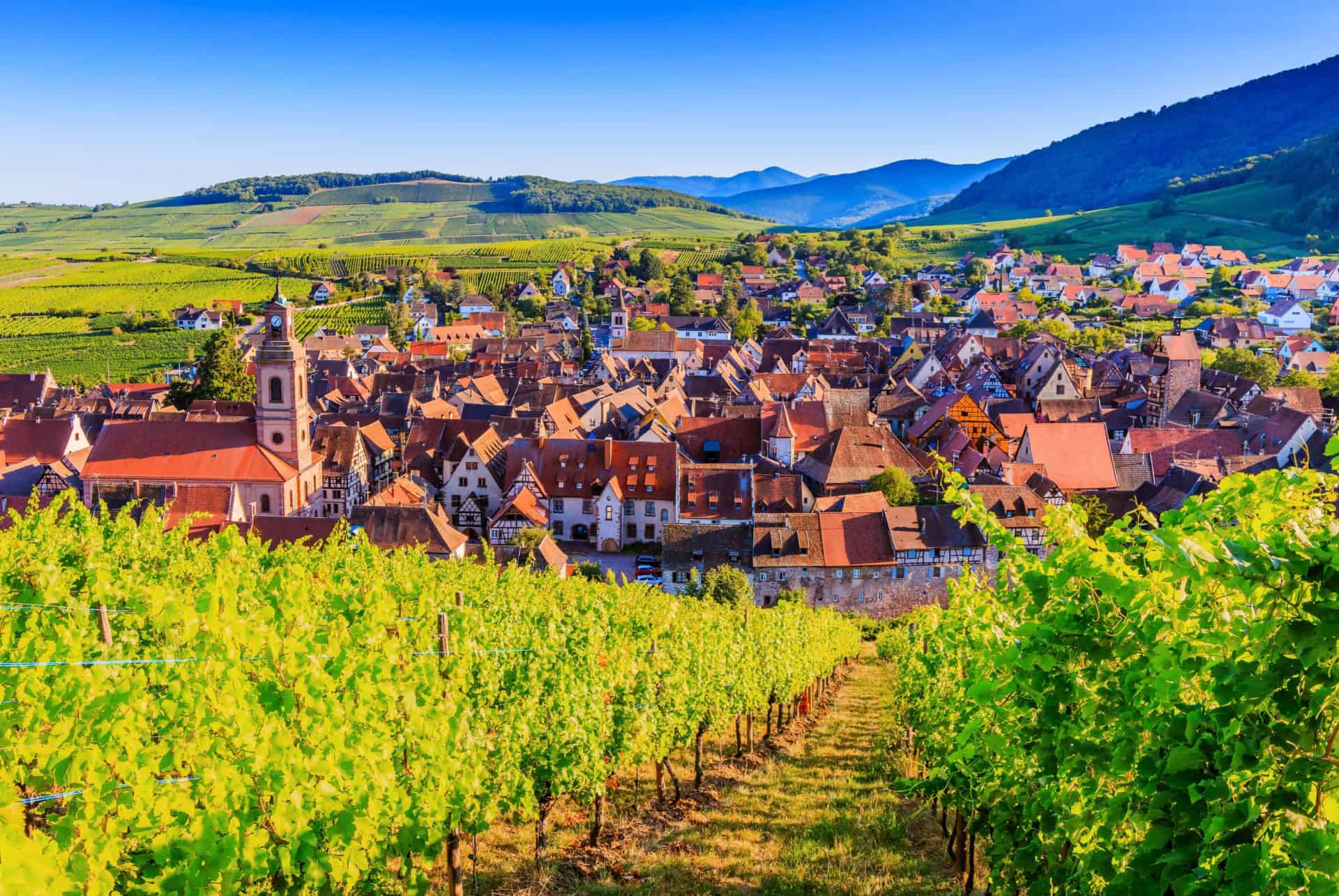 riquewihr route des vins alsace riquewihr route des vins alsace