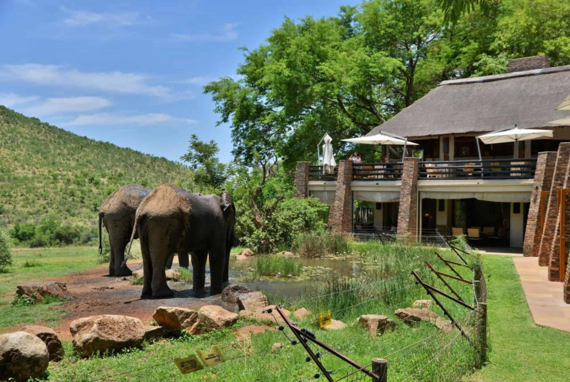 kwa maritane lodge au coeur de pilanesberg kwa maritane lodge au coeur de pilanesberg