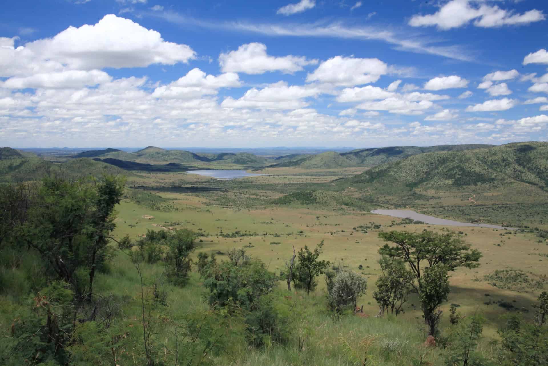 paysage pilanesberg national park paysage pilanesberg national park