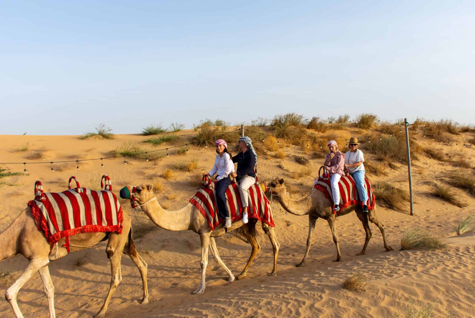 balade chameau desert dubai balade chameau desert dubai