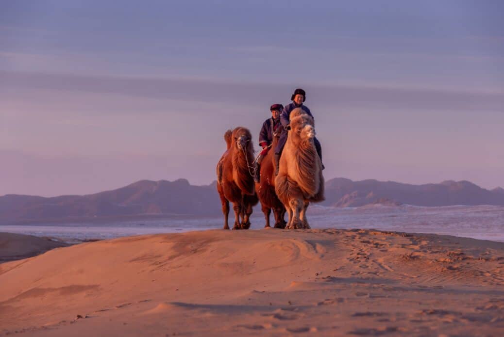Excursion dans le désert du Semi-Gobi