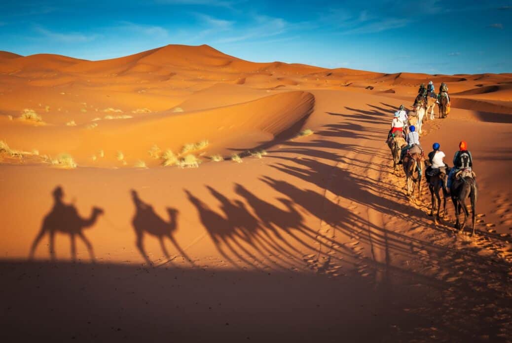 Excursion dans le Semi-Gobi et Kharkhorine