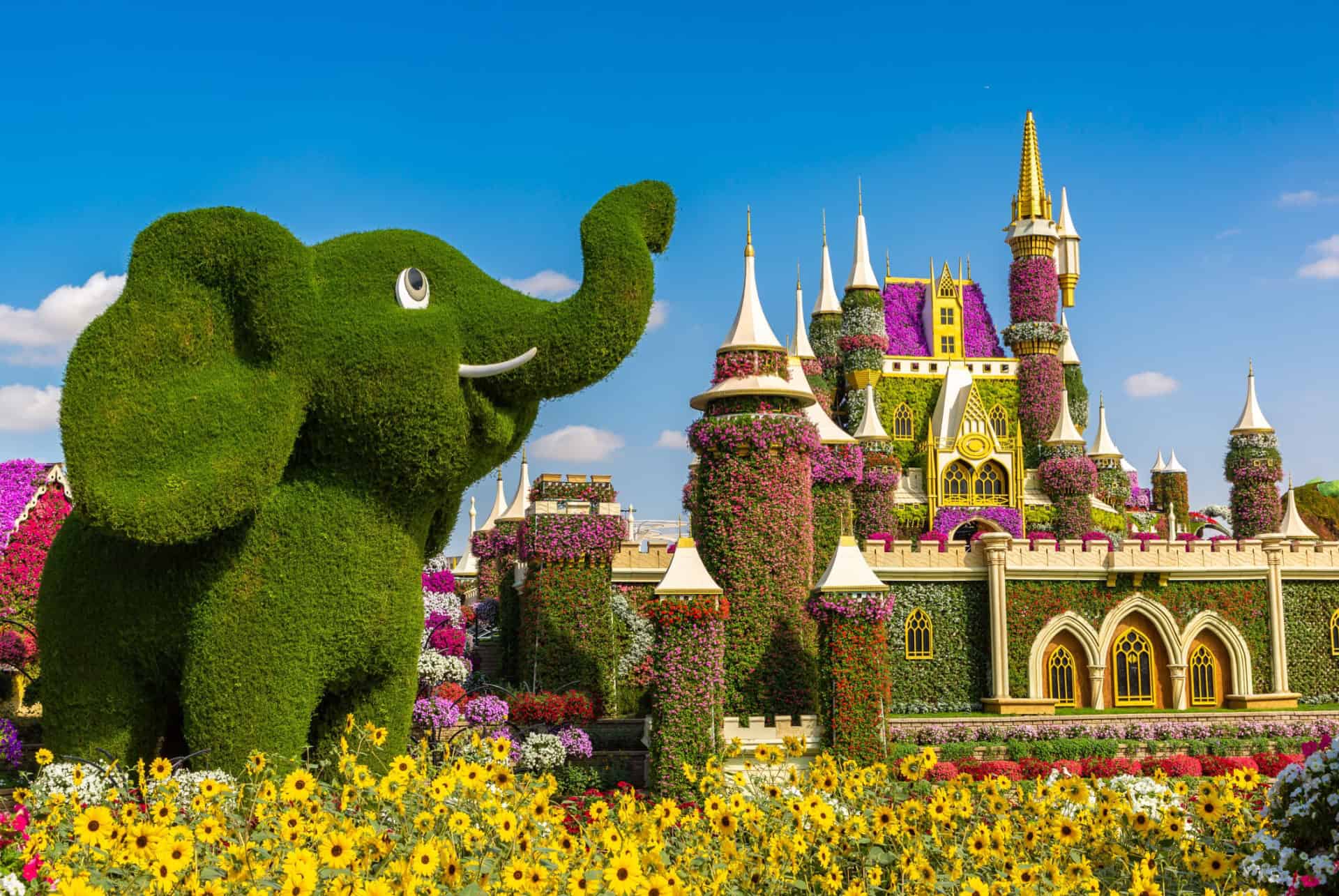 dubai miracle garden en fevrier dubai miracle garden en fevrier