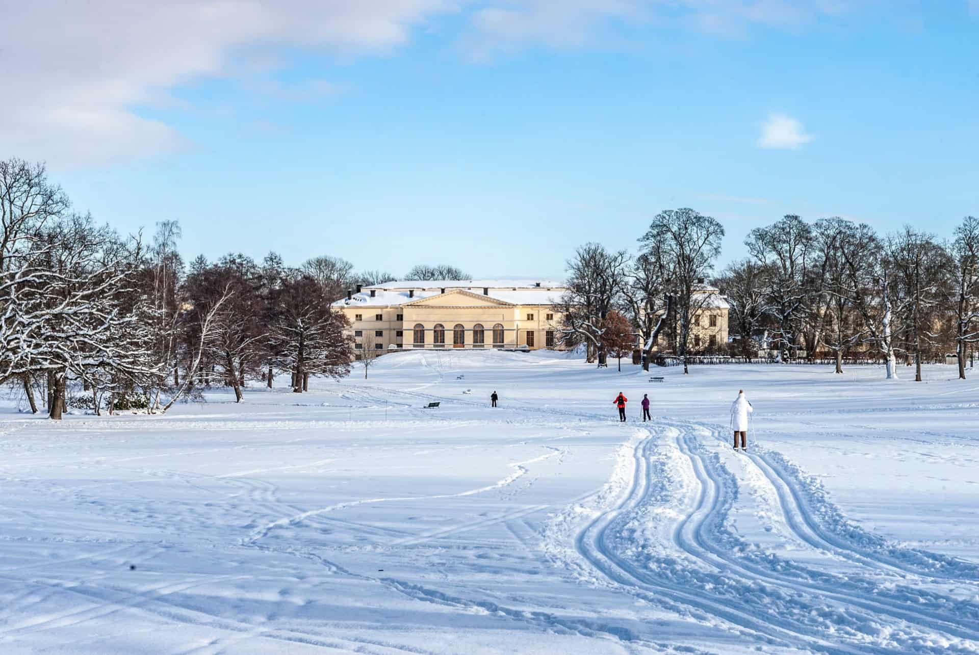 skier a stockholm skier a stockholm