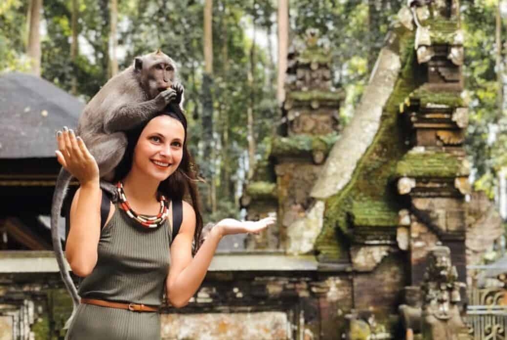 Excursion dans la forêt des singes