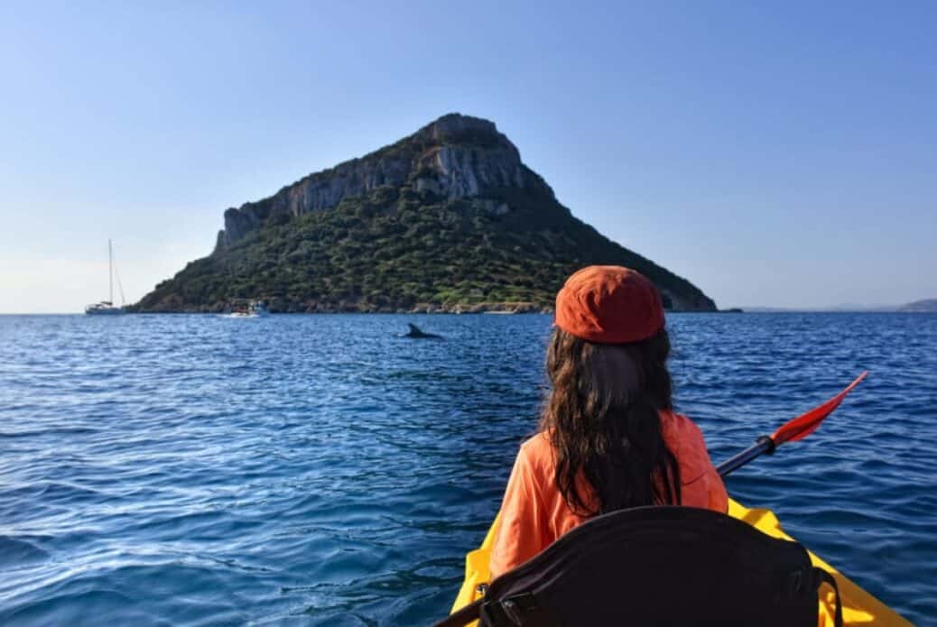 Observation des dauphins dans le Golfo Aranci
