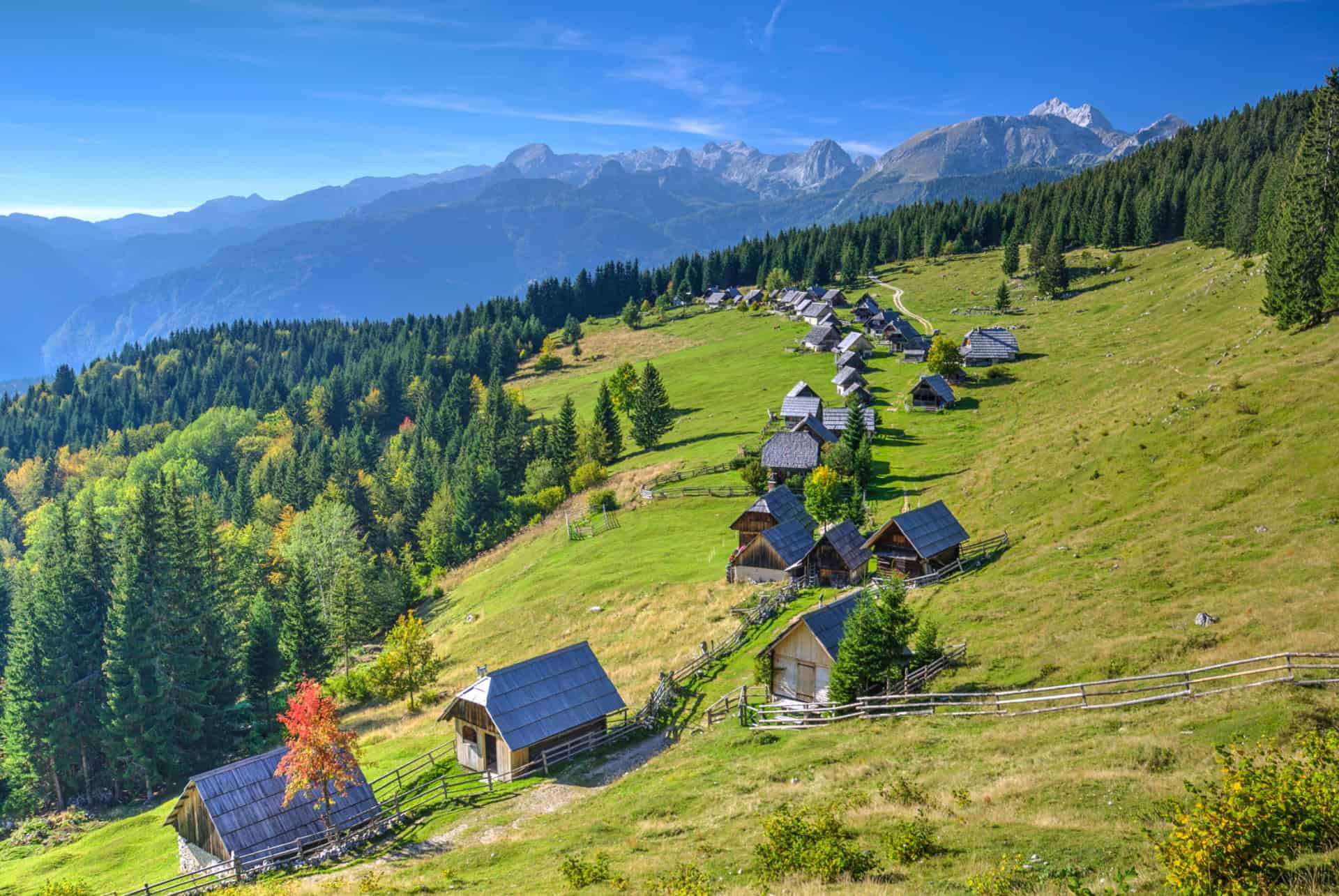 village de zajamniki