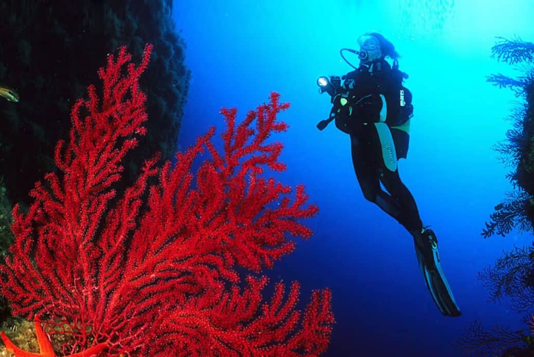 Plongée sous-marine aux îles de Bruzzi