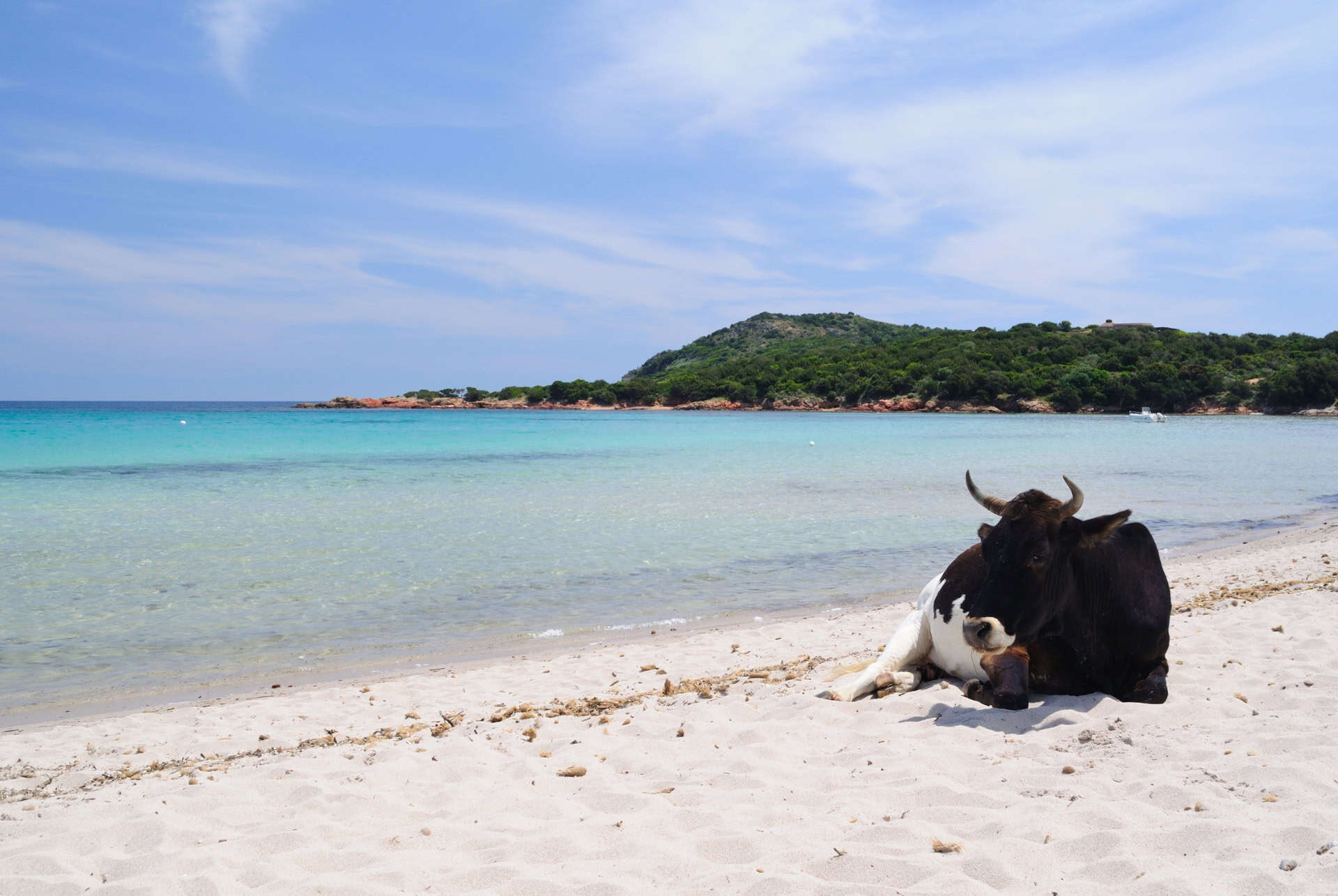 plage de Rondinara plage de Rondinara