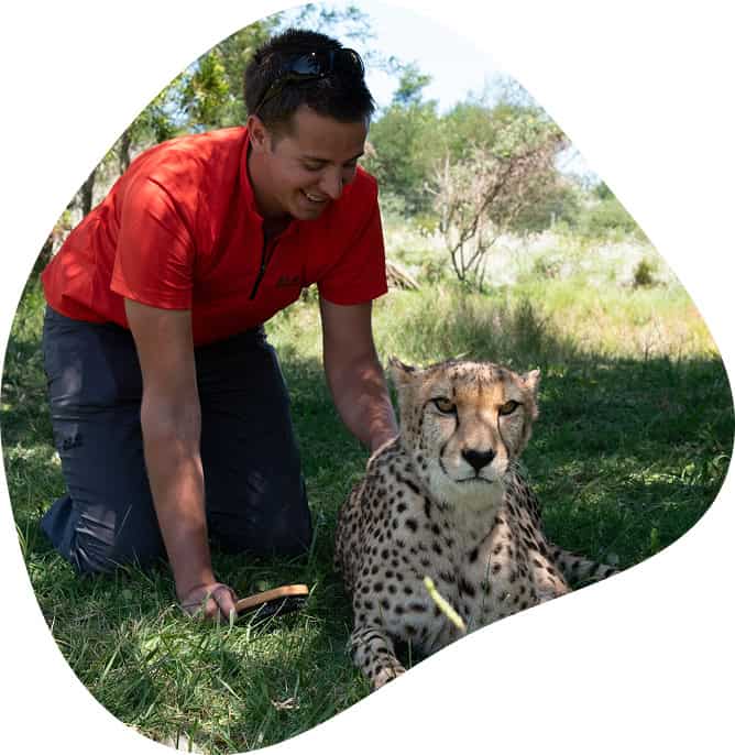 afrique du sud