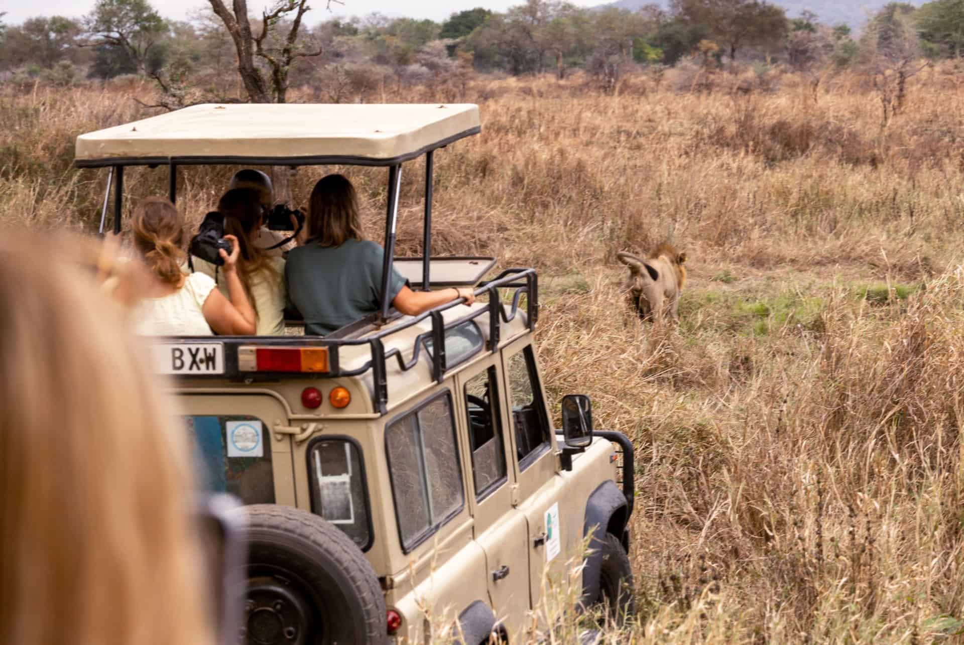 safari a zanzibar