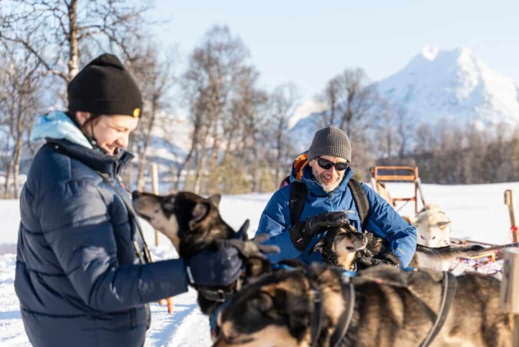 Balade autonome en chiens de traîneau