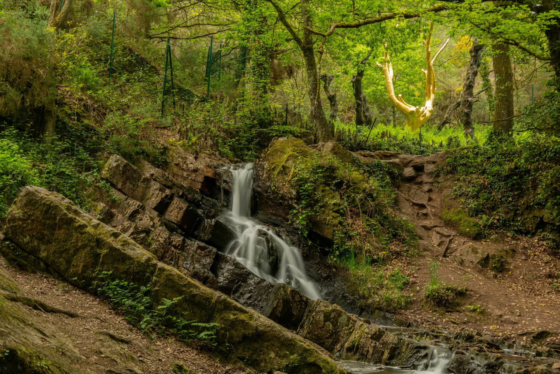 foret broceliande foret broceliande