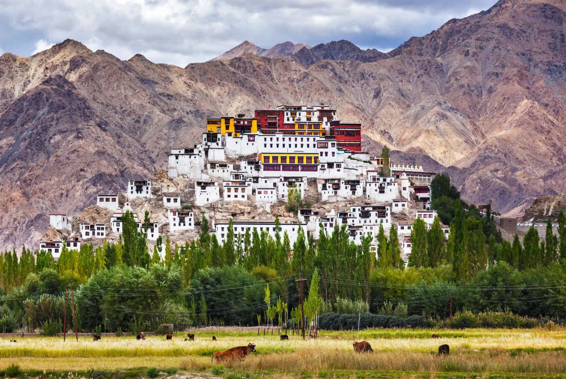 ladakh monastere de thiksey inde ladakh monastere de thiksey inde