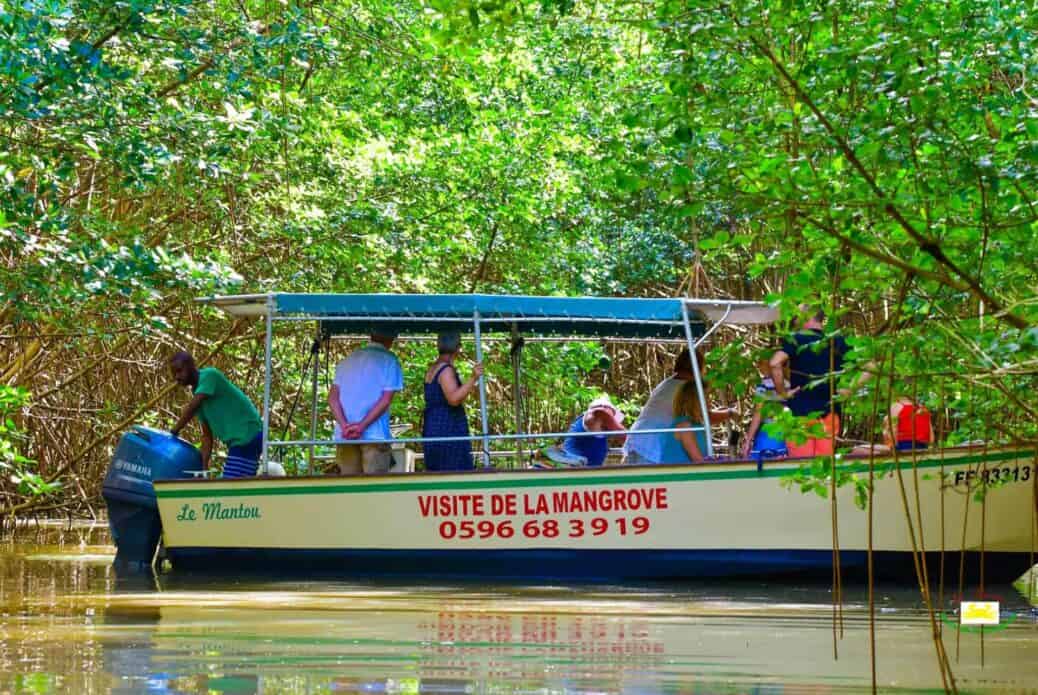 Tour en bateau dans la mangrove à Trois-Îlets