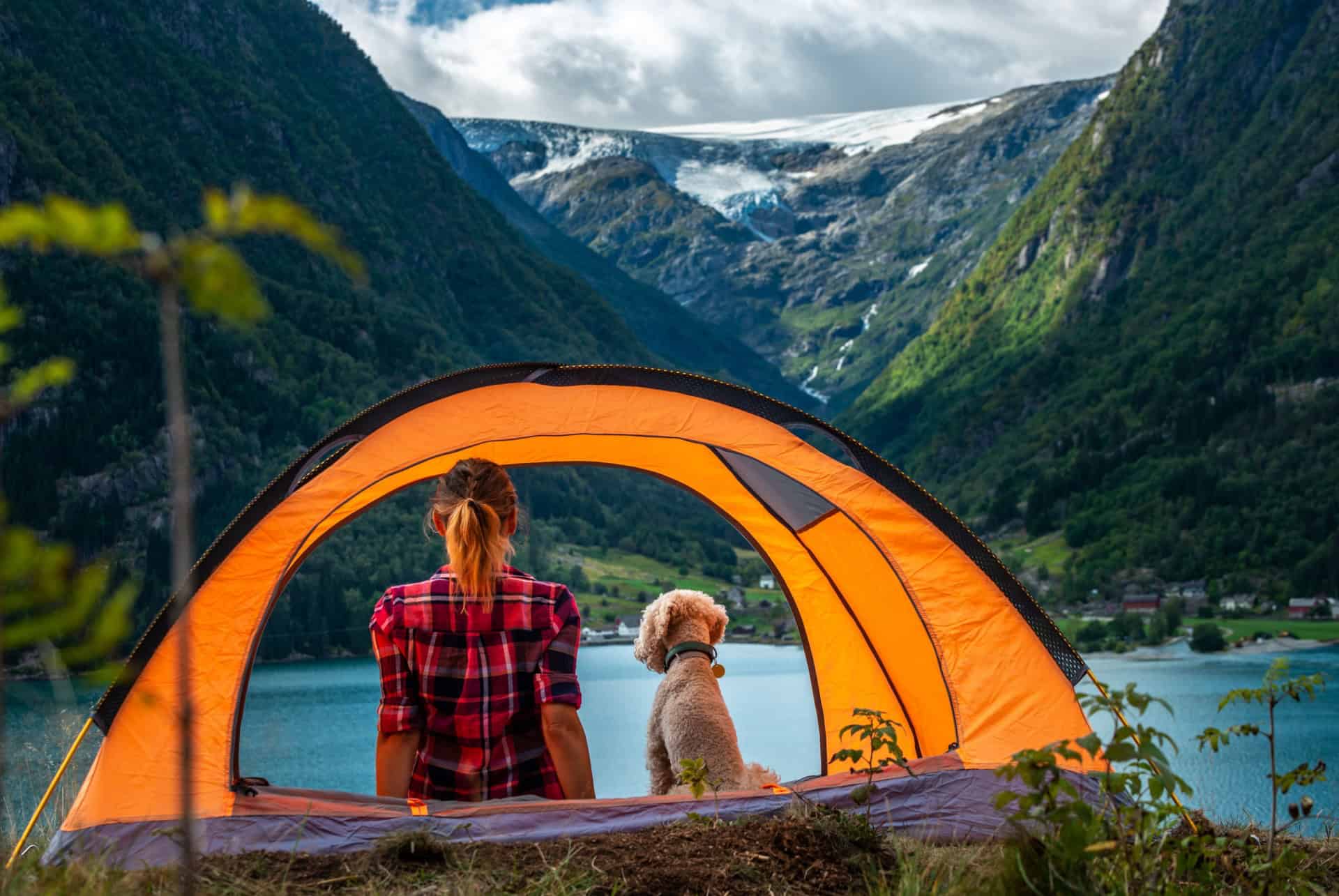 quelles formalites pour un road trip en scandinavie quelles formalites pour un road trip en scandinavie