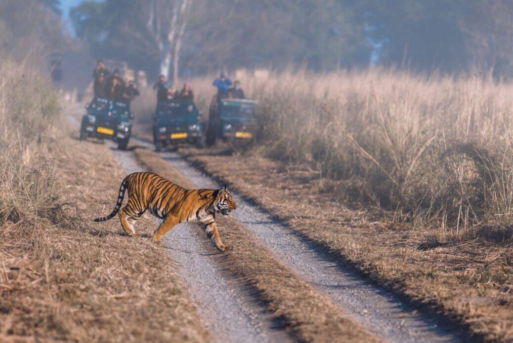 Safari en jeep dans le parc national Jim Corbett