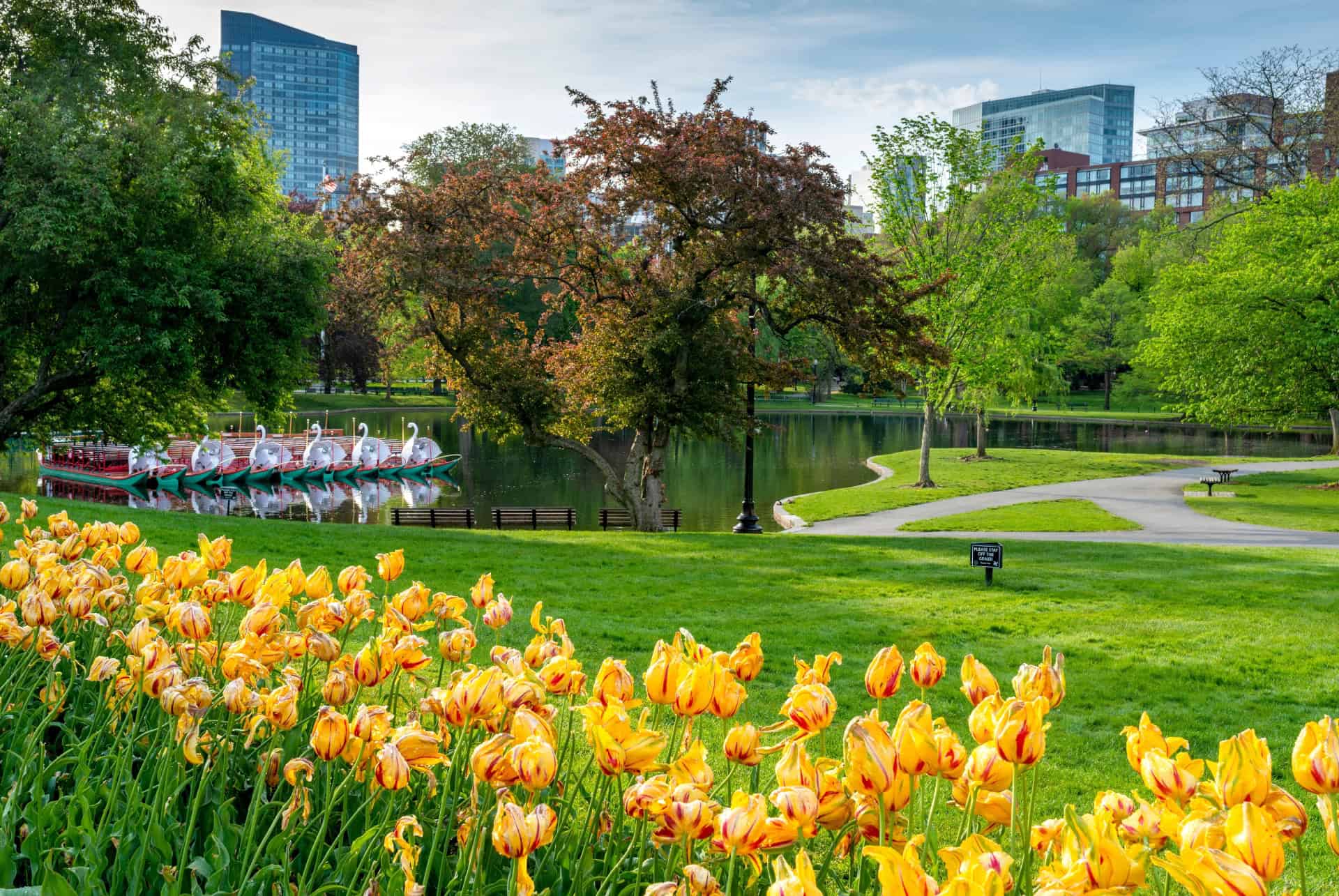 boston public garden boston public garden