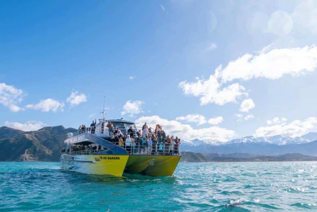 Croisière d'observation des baleines
